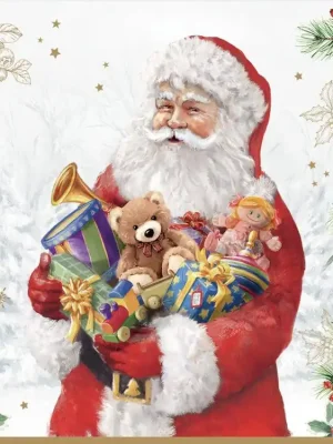 Výhodná Nabídka Easy Life Papírový ubrousek Santa Is Coming-33x33cm 20 ks