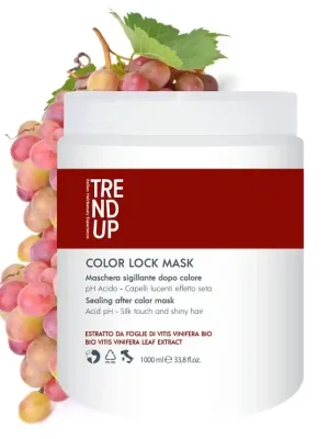 Víkendová Akce Trend Up Color Lock maska pro barvené vlasy 1000 ml