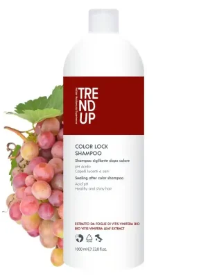 Sleva Trend Up Color Lock šampón pro barvené vlasy 1000 ml