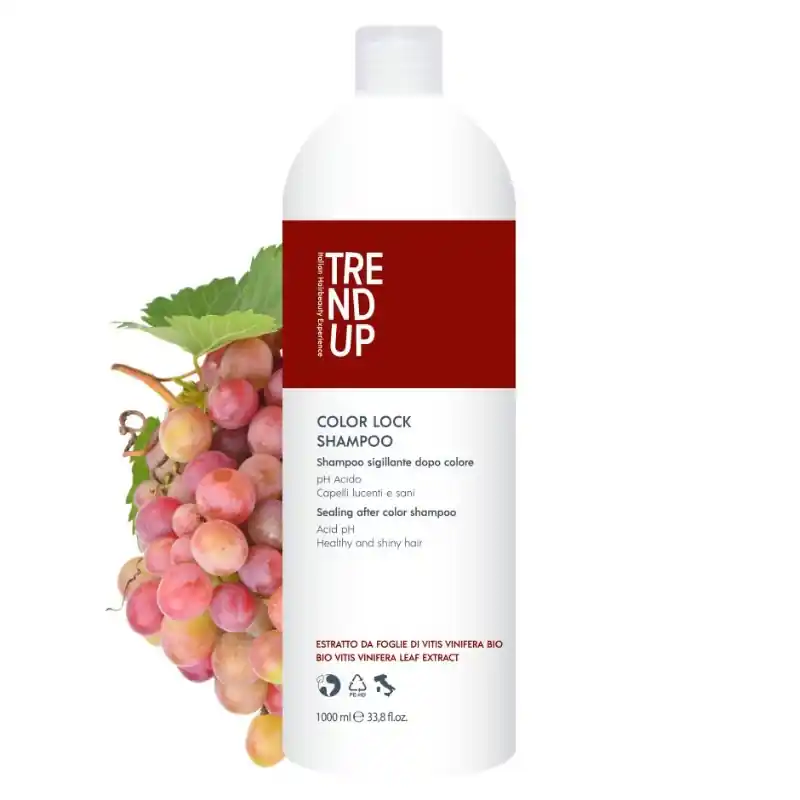 Sleva Trend Up Color Lock šampón pro barvené vlasy 1000 ml