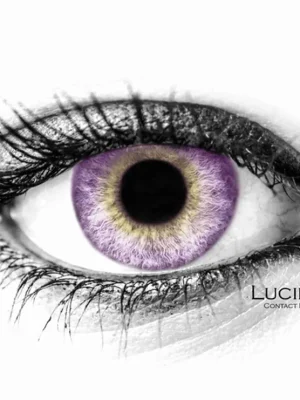 Barevné čočky - nedioptrické - CLOUD VIOLET (2 čočky) Tovární Cena
