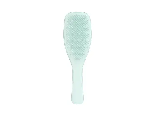 Expresní Doručení Tangle Teezer® Ultimate Detangler Fine & Fragile Ice Blue