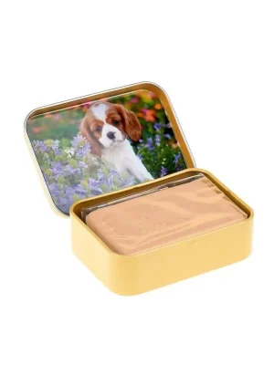 ŠtěněTuhé mýdlo v plechovce, 70 g Výhodná Nabídka