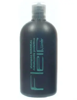WONDER FLAIR Minersal Shampoo - regenerační šampon pro všechny druhy vlasů 500ml Koupit Online