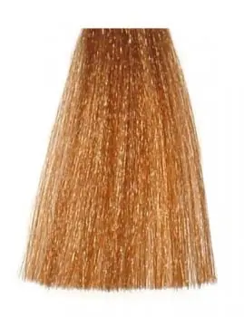 Ihned K Objednání BES Hi-Fi Hair Color Barva na vlasy Cappuccino - Světlá zlato béžová 7-83