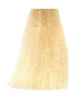 BES Hi-Fi Hair Color Barva na vlasy - Super zjasňující blond přírodní 90-0 Nejlepší Cena