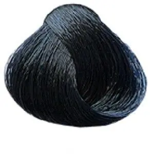 Nakupujte Hned SUBRINA Colour Barva na vlasy 100ml - 2-2 modro černá