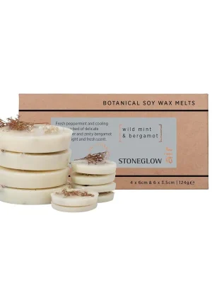 Air - Wild Mint & BergamotVosk do aromalampy, 10 ks Ihned K Objednání