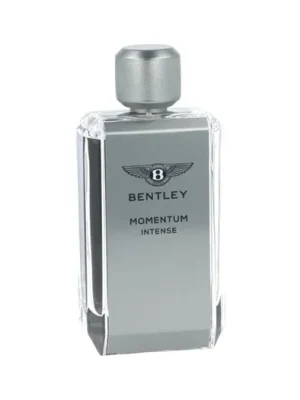 Nejprodávanější Bentley Momentum Intense EDP 100 ml M