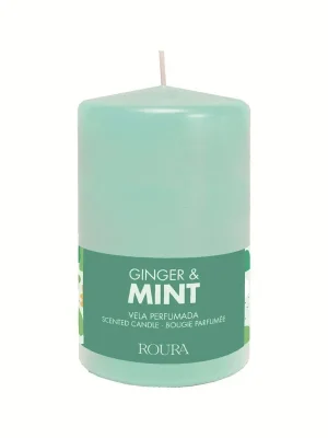 Ginger & MintVonná svíčka, 204 g Levný