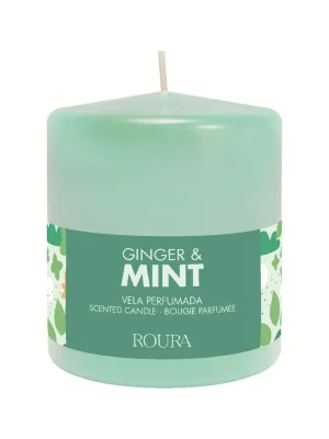 Ginger & MintVonná svíčka, 250 g Cenově Výhodný