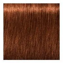 SCHWARZKOPF Igora Royal Absolutes 60ml - střední blond přírodní měděná 7-70 Vrácení Zdarma
