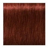 Finální Výprodej SCHWARZKOPF Igora Royal Absolutes 60ml - světle hnědá přírodní červená 5-80