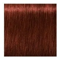 SCHWARZKOPF Igora Royal Absolutes 60ml - tmavá blond přírodní červená 6-80 Omezená Nabídka