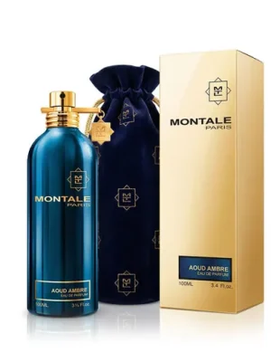 Montale Paris Aoud Ambre EDP 100 ml UNISEX Kup Teď