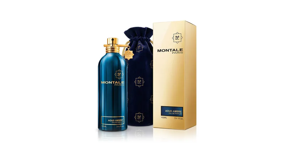 Montale Paris Aoud Ambre EDP 100 ml UNISEX Kup Teď
