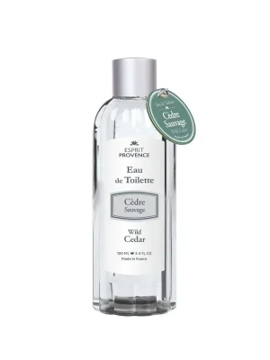 CedrNáhradní náplň do toaletní vody, 100 ml Must-Have