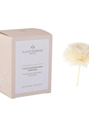 Fleur Pour Diffusion ParfuméeKvětina do vonného difuzéru Nízká Cena