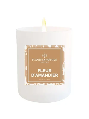 Koupit Online Fleur d'AmandierVonná svíčka, 180 g