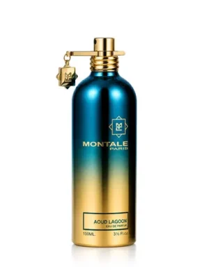 Výhodná Nabídka Montale Paris Aoud Lagoon EDP 100 ml UNISEX