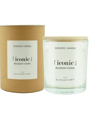 BLOSSOM TONKA ⌈iconic⌋Vonná svíčka, 200 g Autentický