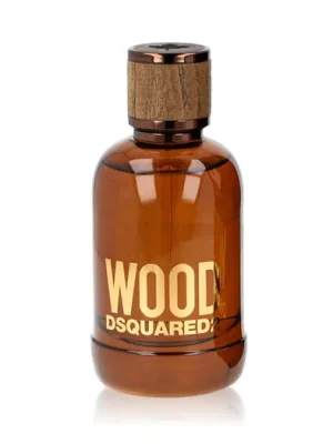 Výprodej Dsquared2 Wood for Him EDT 100 ml M