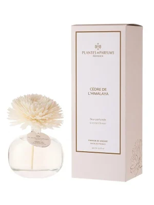 Cedre de l'HimalayaVonný difuzér s květinou, 100 ml Objednat Nyní
