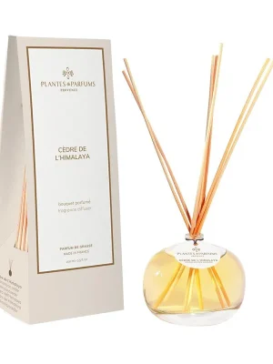 Cedre de l'HimalayaVonný difuzér, 100 ml Top Prodej