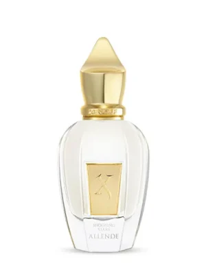 Výprodej Xerjoff Shooting Stars Allende Parfém 50 ml UNISEX