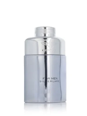 Nakupujte Hned Bentley For Men Silverlake EDP 100 ml M