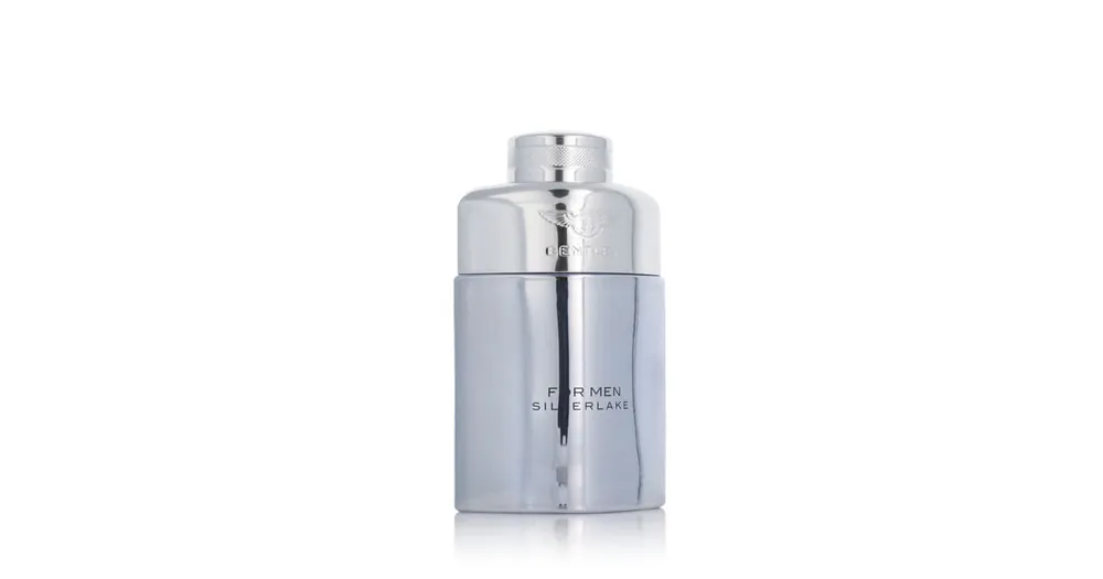 Nakupujte Hned Bentley For Men Silverlake EDP 100 ml M
