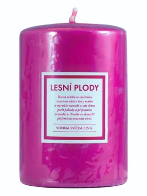 Q-Home vonná svíčka 315 g Lesní plody Expresní Doručení