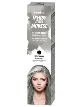 VENITA Trendy Color Mousse 11 SILVER DUST - barevné pěnové tužidlo 75ml - stříbrné Časově Omezené