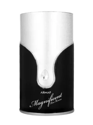 Víkendová Akce Armaf Magnificent Pour Homme EDP 100 ml M