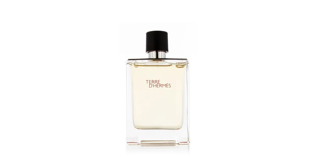 Jen Po Omezenou Doba Hermès Terre D'Hermès EDT 100 ml M