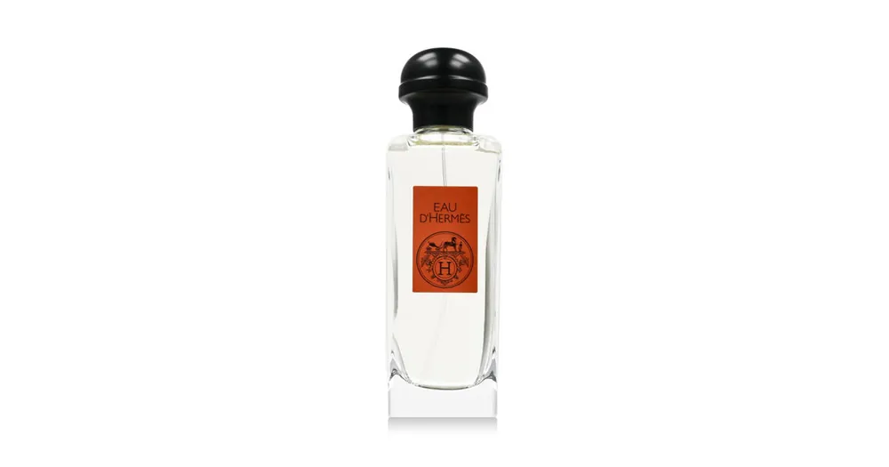 Přímo Od Výrobce Hermès Eau D'Hermès EDT 100 ml UNISEX
