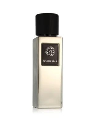 The Woods Collection Natural North Star EDP 100 ml M Cenový Hit