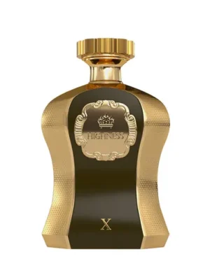 Kup Teď Afnan Highness X EDP 100 ml M