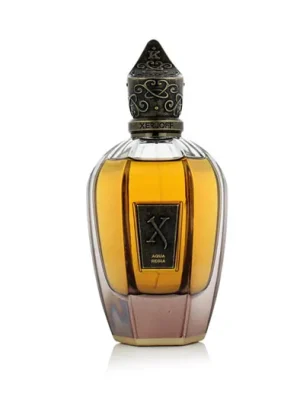 Cenový Hit Xerjoff Aqua Regia Parfém 100 ml UNISEX