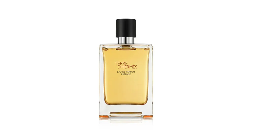 Hermès Terre d’Hermès Intense EDP Intense plnitelný 100 ml M Cenový Hit