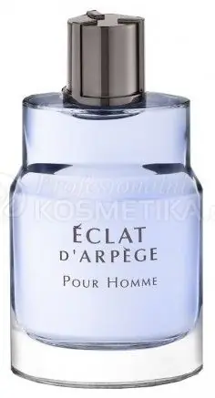 Lanvin Eclat D´Arpege Pour Homme EDT - Pánská toaletní voda 50 ml Výhodná Nabídka