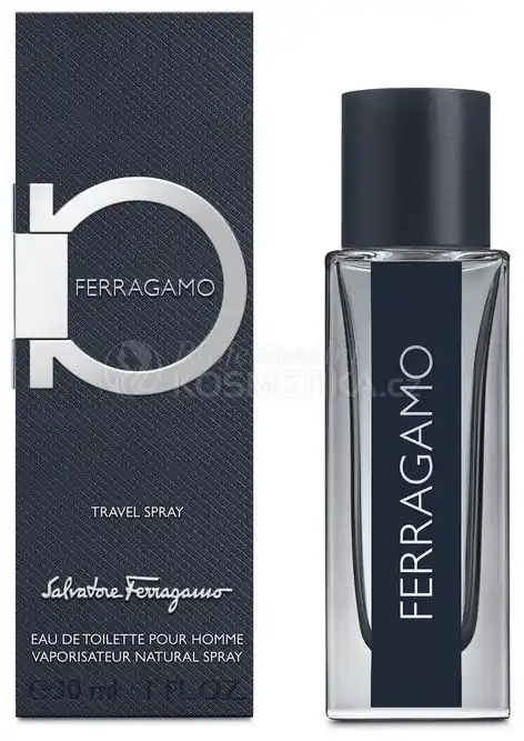 Salvatore Ferragamo Ferragamo EDT - Pánská toaletní voda 100 ml Nejprodávanější