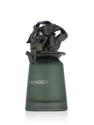 Levný French Avenue Thunder EDP 100 ml M