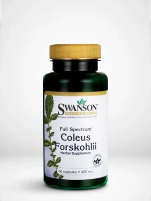 Coleus Forskholi Speciální Cena
