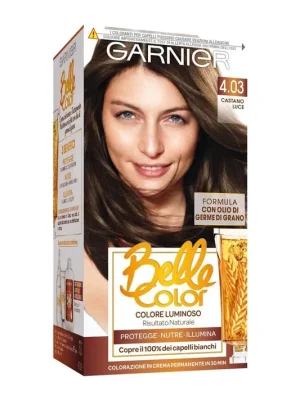Garnier Belle 4.13 Popelavě hnědá se zlatým nádechem Nízká Cena