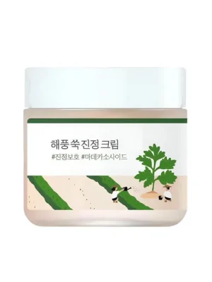 Levný Round Lab Mugwort Calming cream - zklidňující gelový krém pro citlivou a problematickou pleť