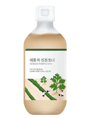 Round Lab Mugwort Calming toner - zklidňující tonikum s Pelyňkem Koupit Online
